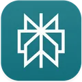 Perplexity logo